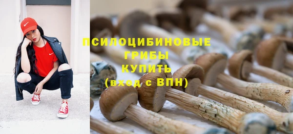 дживик Алексеевка