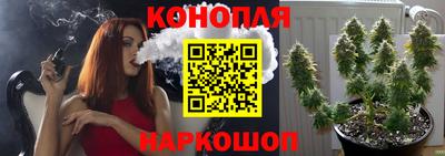стаф Анапа