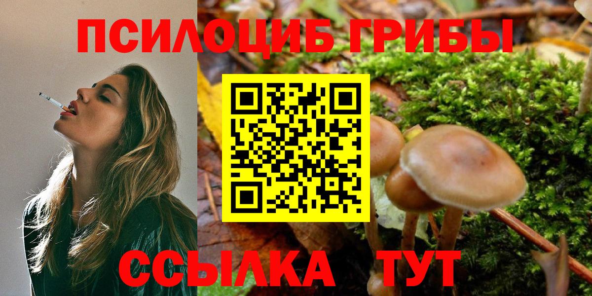 Галлюциногенные грибы Psilocybine cubensis Прохладный