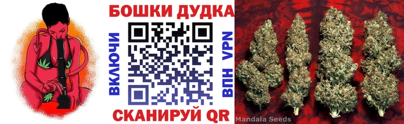 Бошки марихуана семена  Прохладный 